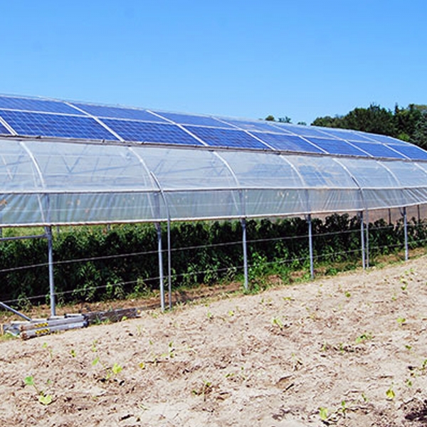 Solar Greenhouses