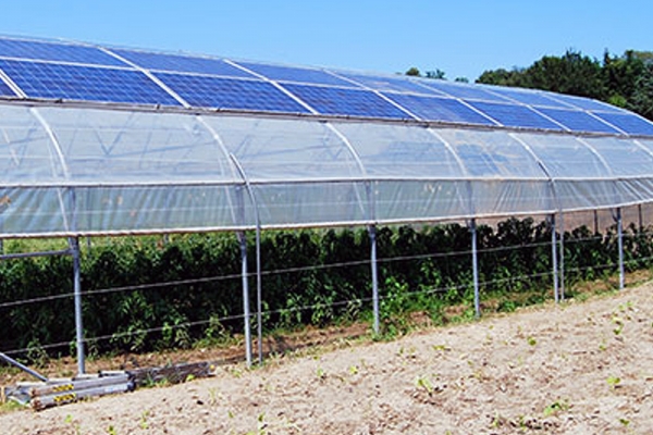 Solar Greenhouses